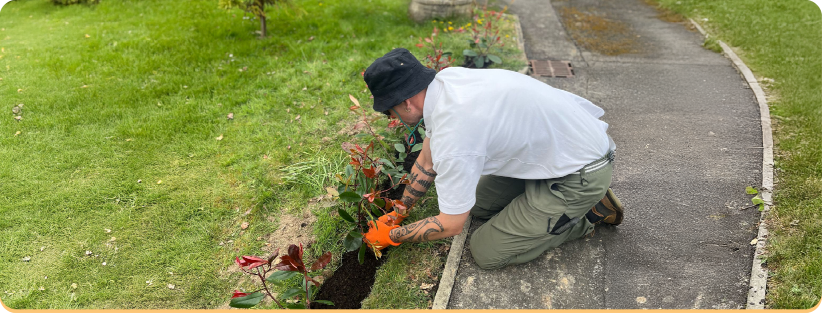 Moon Gardening Home Page Image Lewis from Moon Gardening providing expert garden care in Eastbourne.